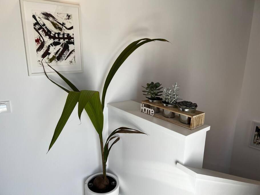 2B-Precioso Apartamento En Pleno Centro. A Estreno Alcazar de San Juan Eksteriør bilde